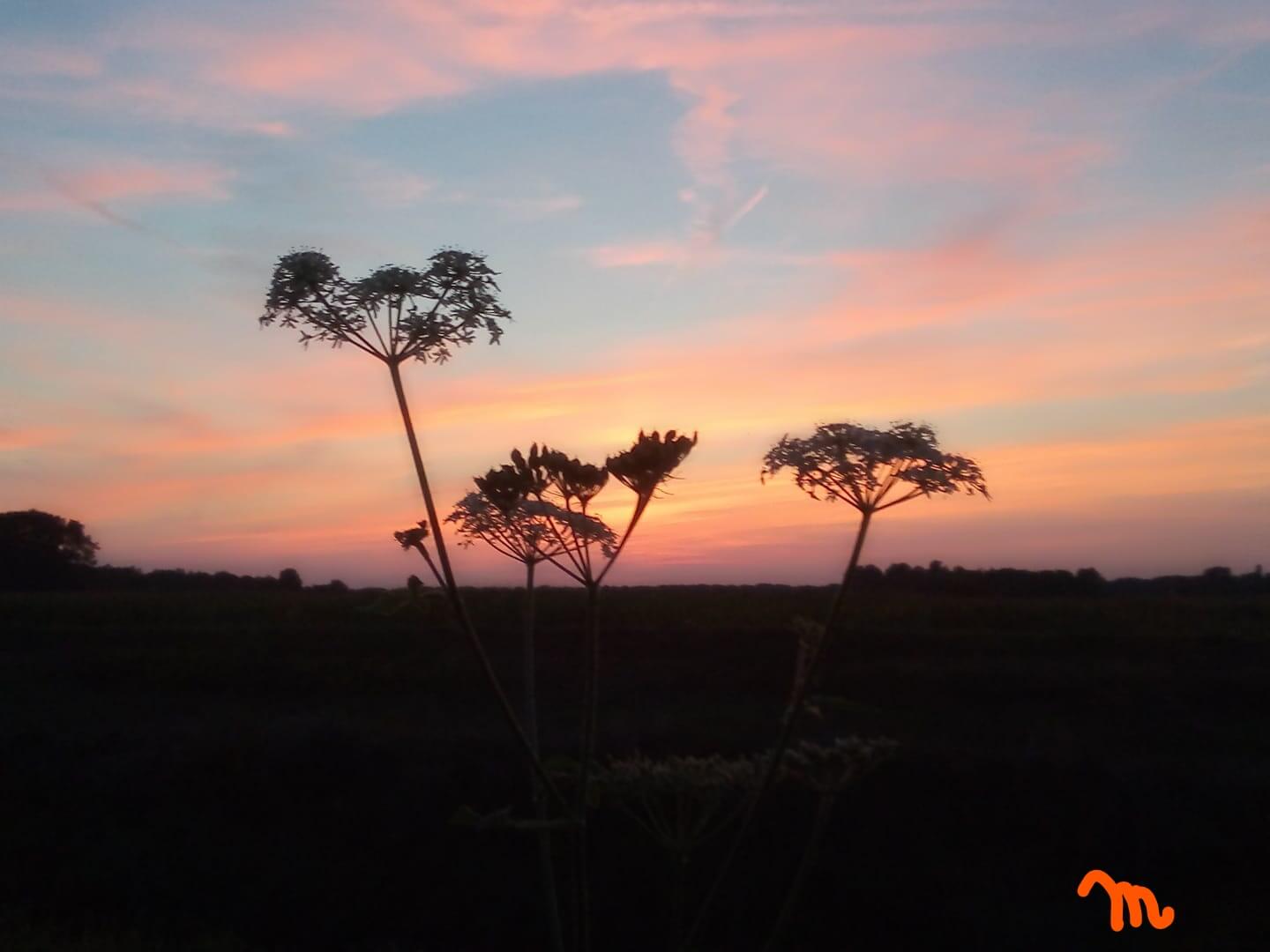 Afrikaanse zonsondergang ?